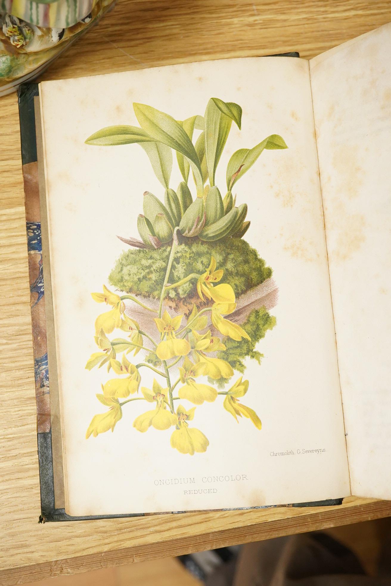 Watson, W. & Bean, W. - Orchids: their culture and management ... (bound as 2 vols). num. colour printed lithographed plates and some others, text illus.; contemp, half calf and marbled boards, gilt panelled spines with